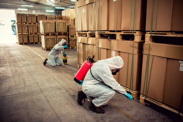 Best Pest Prevention Services  in Oak Point, TX