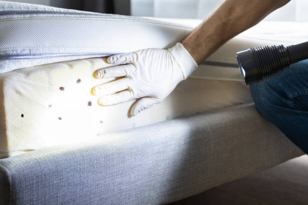 Best Best Pest Control Companies  in Oak Point, TX