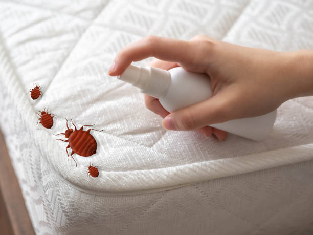 Best Pest Removal Services  in Oak Point, TX