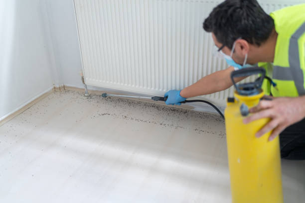 Pest Control for Restaurants in Oak Point, TX