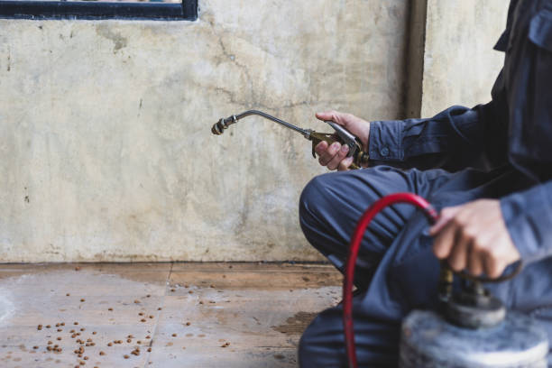 Professional Pest Control in Oak Point, TX