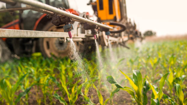 Best Commercial Pest Control Services  in Oak Point, TX