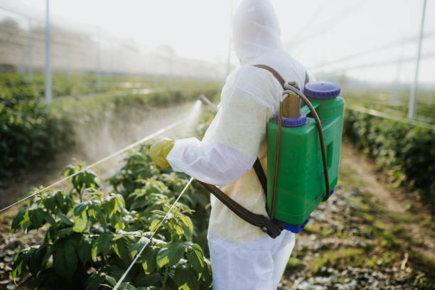 Best Cockroach Control Services  in Oak Point, TX